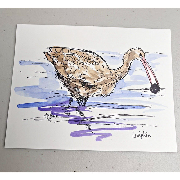 Hand painted Greeting Cards Shore Birds Cards Ink & Watercolor Signed 9 Blank - Picture 5 of 16